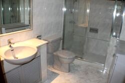 Chancery Esquire (D11), Apartment #620616121